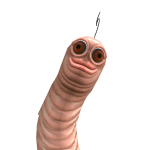 @miellagamer