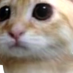 @bbxunneh