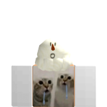 @rainbowcats_fries