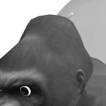 @venderrman