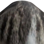 @Mashcat123456