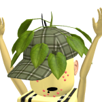 @dwooIl