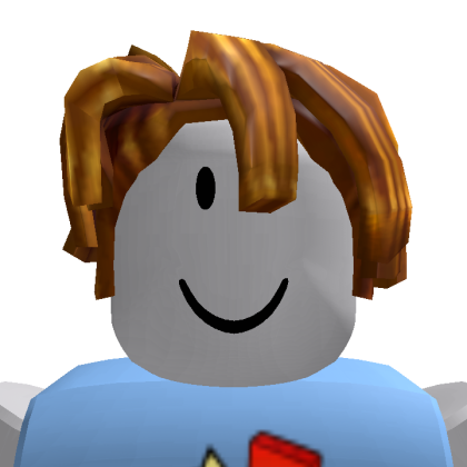 Roblox profile picture for @hever2006