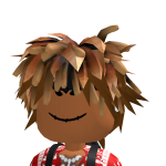 @mybroroblox1234