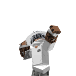 @ROBLOX53PROXD