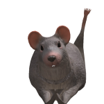 @jakesscar