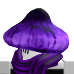 @floppofuss