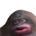 @Bryancoopanda