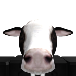 @Ronald6McDonald