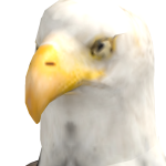 @owenmantequilla