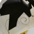 Axo
