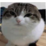 @Pizza_Master9759