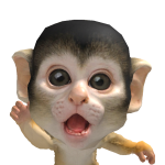 @Riley022512