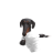 Headshot of roblox_user_3055632069