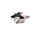 @DeeNooil