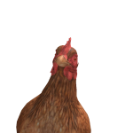 @JacobyB1234