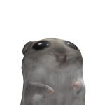 @Capuchia_13