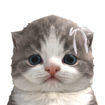@FOXYIBRAHIM