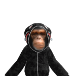 @frotypep