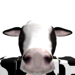 @DANK_NOGGETS