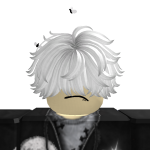 @robloxexewhy