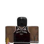 @devgstreams