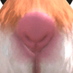 @gamerxdfreddy45