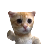 @qxrrviinc