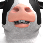 @ccss10003