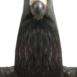 @Mini_vr9