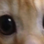 @oiuy77y6gtryfytdtxdf