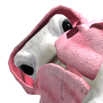 @L3AFES
