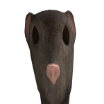 @UniMeatBallCheese