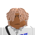 @sans384156