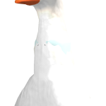 @kokirap2
