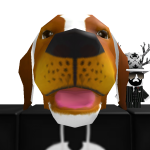 @TheEpicPlayer008