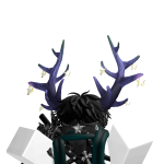 @System_xxp
