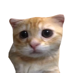@StrxwbxrryKiwii