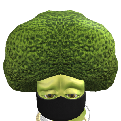 Roblox avatar