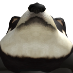 @Br4ndyHz