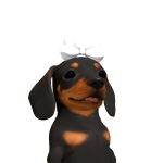 @GRACIESM4L1BU