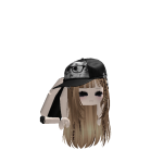 @cupcakekitty2920
