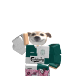 @MatesBobbySchnappMp