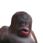 @Clembot5k