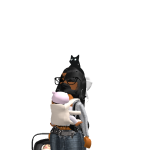 @lisahusky0987