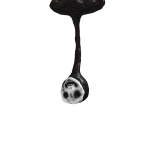 @CalebB17375