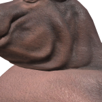 @Timhim6278