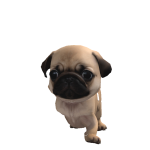 @poopylico