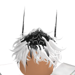@roblox_user_404501916