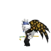 kotakosa2
